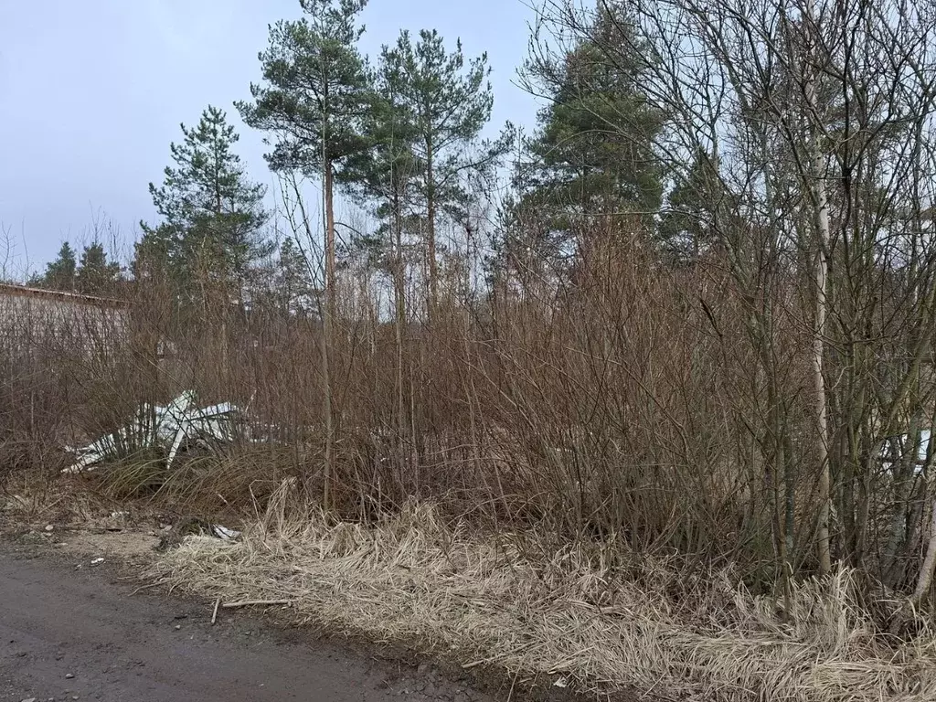 Участок в Ленинградская область, Всеволожское городское поселение, ... - Фото 0