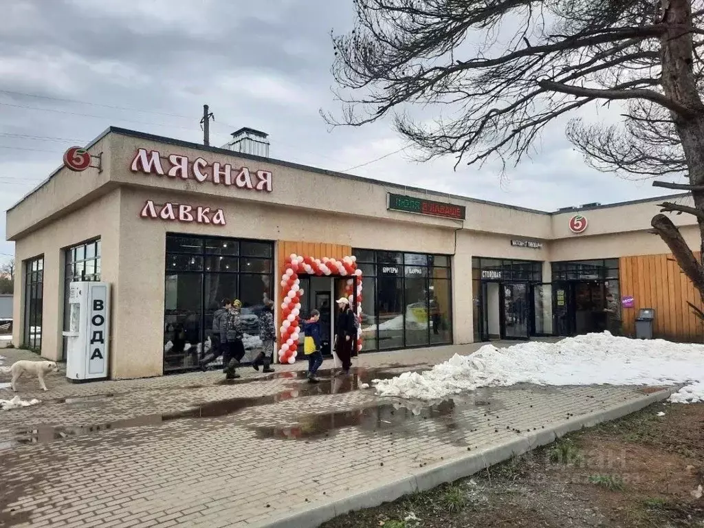 Помещение свободного назначения в Московская область, ... - Фото 1