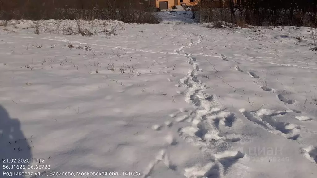 Участок в Московская область, Клин городской округ, д. Василево  (15.0 ... - Фото 0