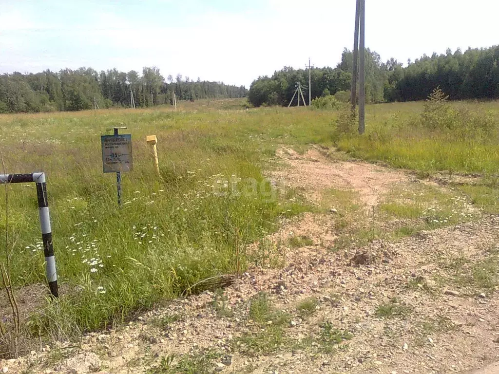 Участок в Ярославская область, Гаврилов-Ямский район, Великосельское ... - Фото 1