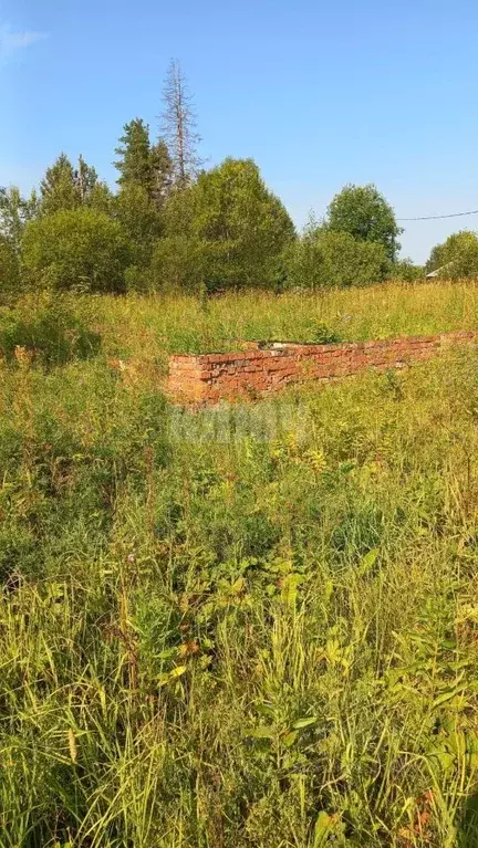 Участок в Вологодская область, Харовский муниципальный округ, пос. ... - Фото 1