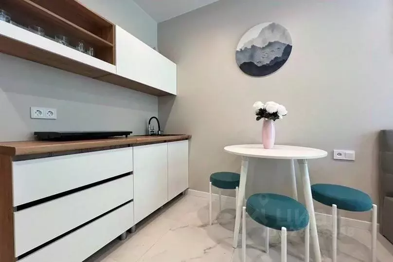 1-к кв. Краснодарский край, Сочи ул. Искры, 88к3 (29.0 м) - Фото 2