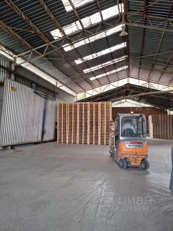 Производственное помещение в Ленинградская область, Лужский район, ... - Фото 1