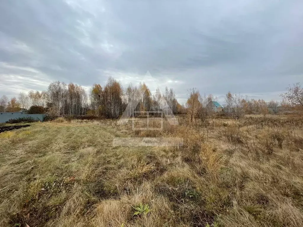 Участок в Челябинская область, Коркино ул. Новоселов (15.15 сот.) - Фото 2