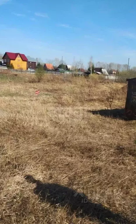 Участок в Новосибирская область, Колыванский район, Авиастроитель СНТ ... - Фото 1