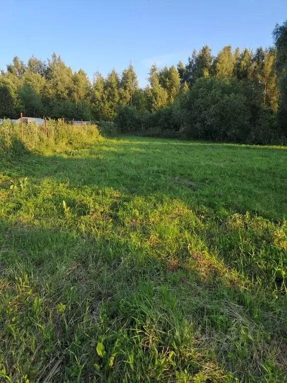 Участок в Московская область, Орехово-Зуевский городской округ, д. ... - Фото 1