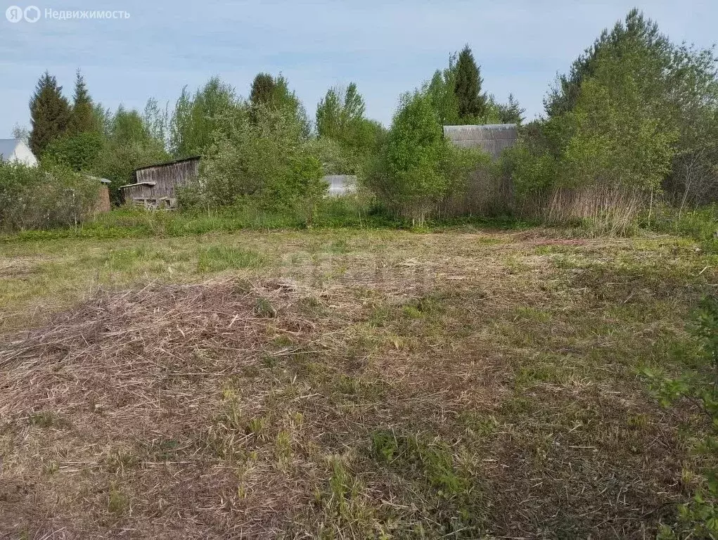 Участок в Вологодский муниципальный округ, СТ Автомобилист (6 м) - Фото 1