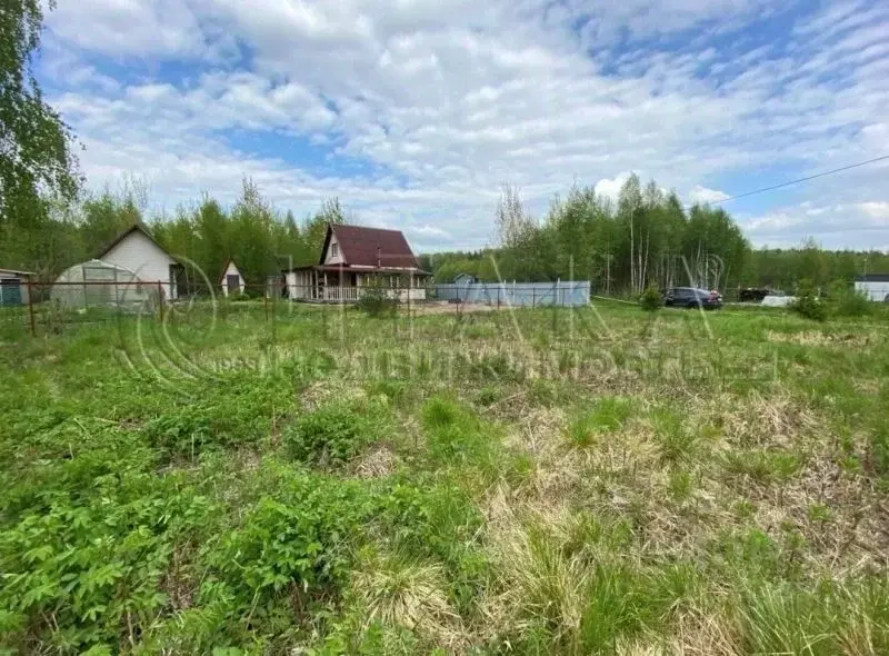 Участок в Ленинградская область, Выборгский район, Советское городское ... - Фото 1
