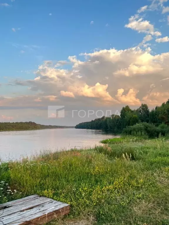 Участок в Новосибирская область, Искитимский район, д. Бурмистрово  ... - Фото 0