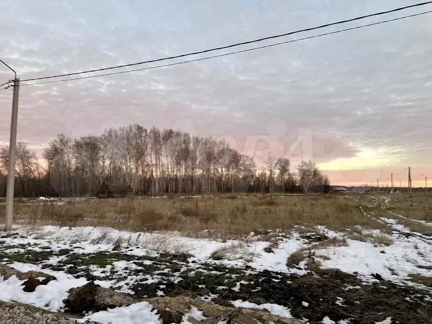 Участок 12 сот. (СНТ, ДНП) - Фото 0
