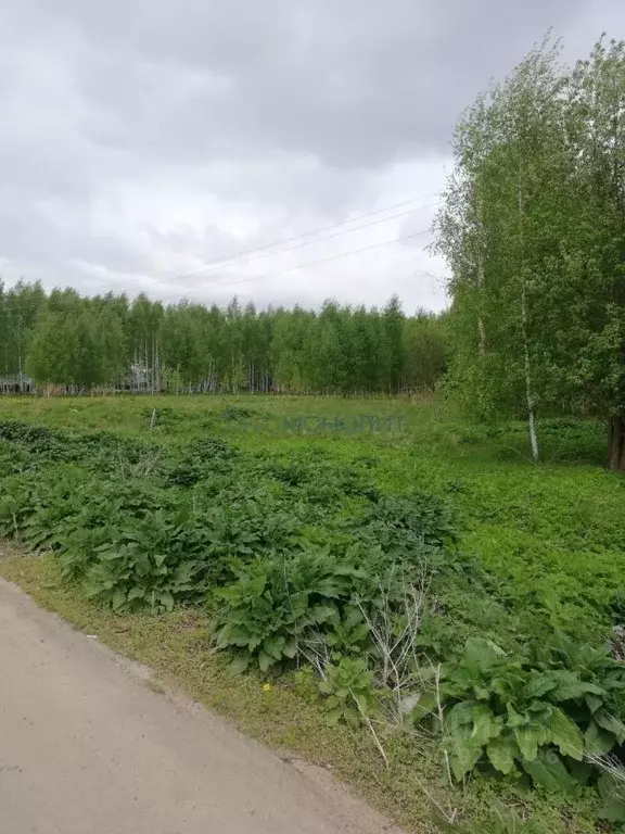 Участок в Нижегородская область, Чкаловск городской округ, д. ... - Фото 1