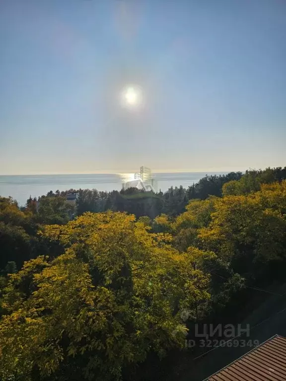 Дом в Краснодарский край, Сочи Сочинское ш., 6/7 (302 м) - Фото 2