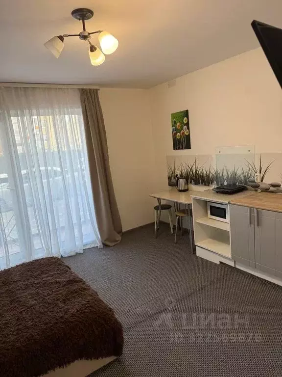 1-к кв. Челябинская область, Челябинск Телевизионная ул., 12 (26.0 м) - Фото 2