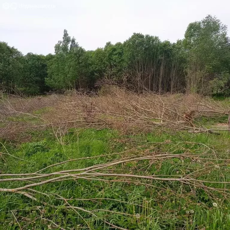 Участок в Тверская область, Калининский муниципальный округ, посёлок ... - Фото 1