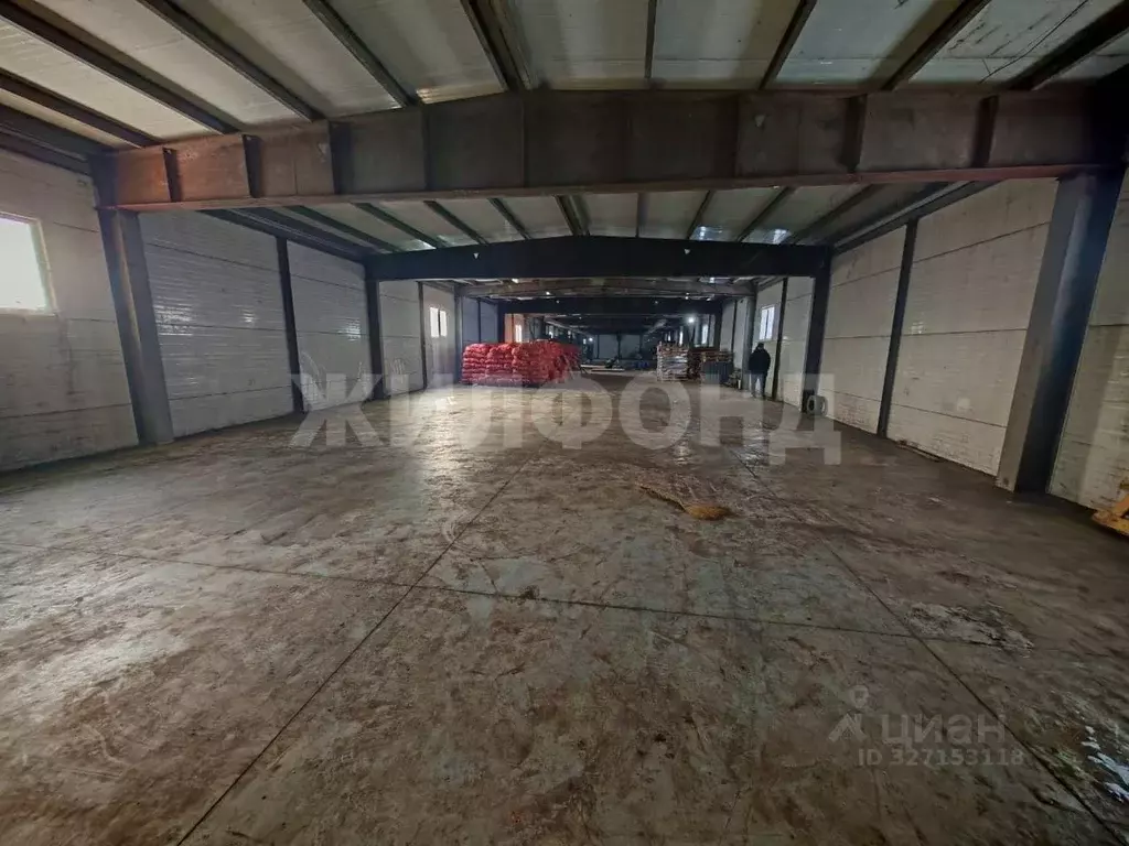 Помещение свободного назначения в Новосибирская область, Новосибирск ... - Фото 1