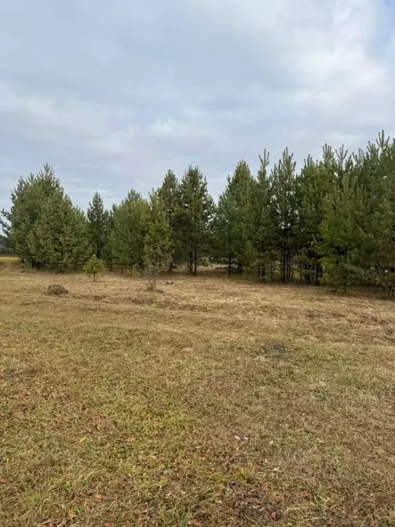 Участок в Свердловская область, Екатеринбург просп. Ленина (8.0 сот.) - Фото 2