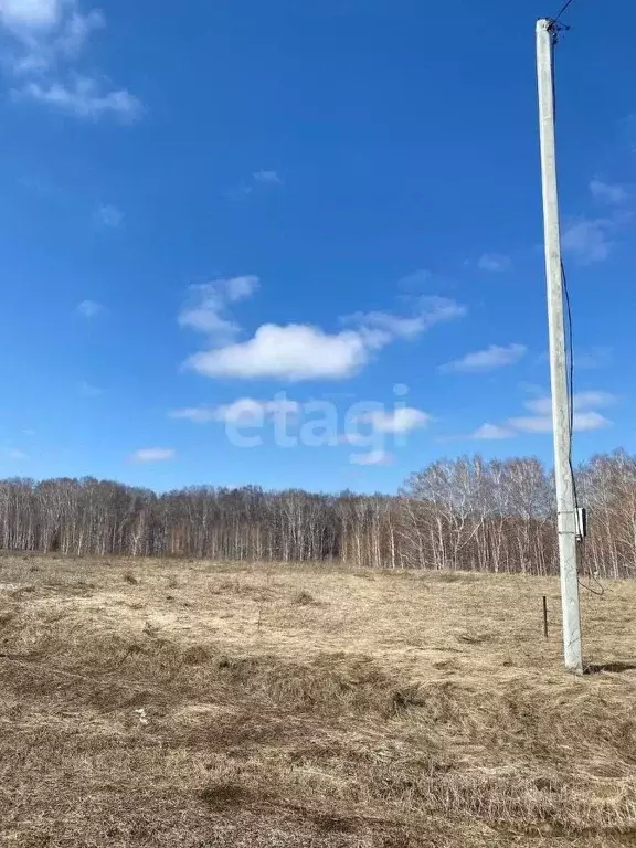 Участок в Кемеровская область, Кемерово ул. 2-я Заречная (15.0 сот.) - Фото 1