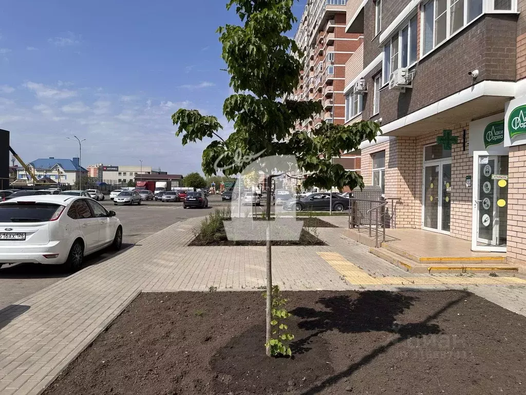 Помещение свободного назначения в Краснодарский край, Краснодар ... - Фото 1