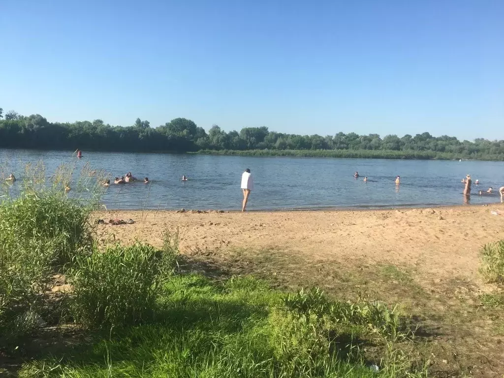 Участок в Тульская область, Ясногорский район, Иваньковское с/пос, д. ... - Фото 2