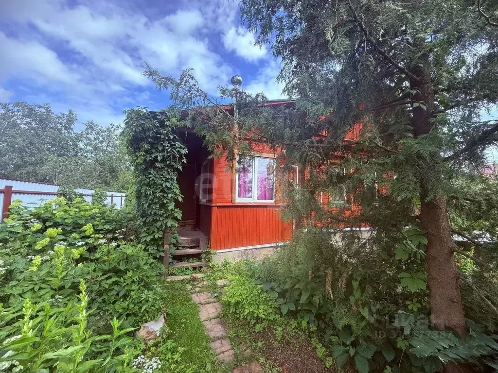 Дом в Владимирская область, Петушки ул. Мира, 17 (29 м) - Фото 0