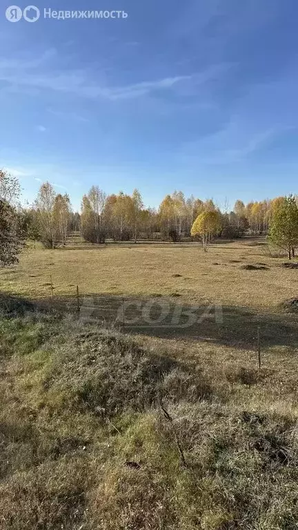 Участок в Тюмень, территория СОСН Берёзка-3 (4 м) - Фото 2