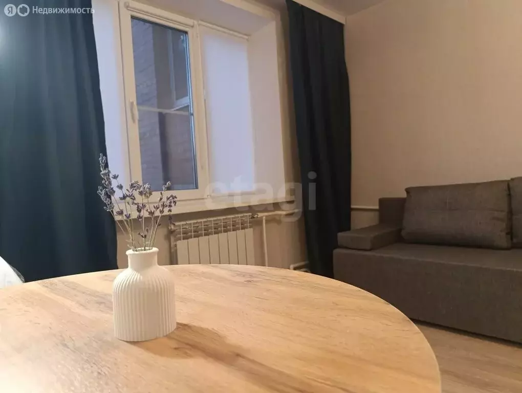 Квартира-студия: Воронеж, Краснознамённая улица, 14 (16.8 м) - Фото 2