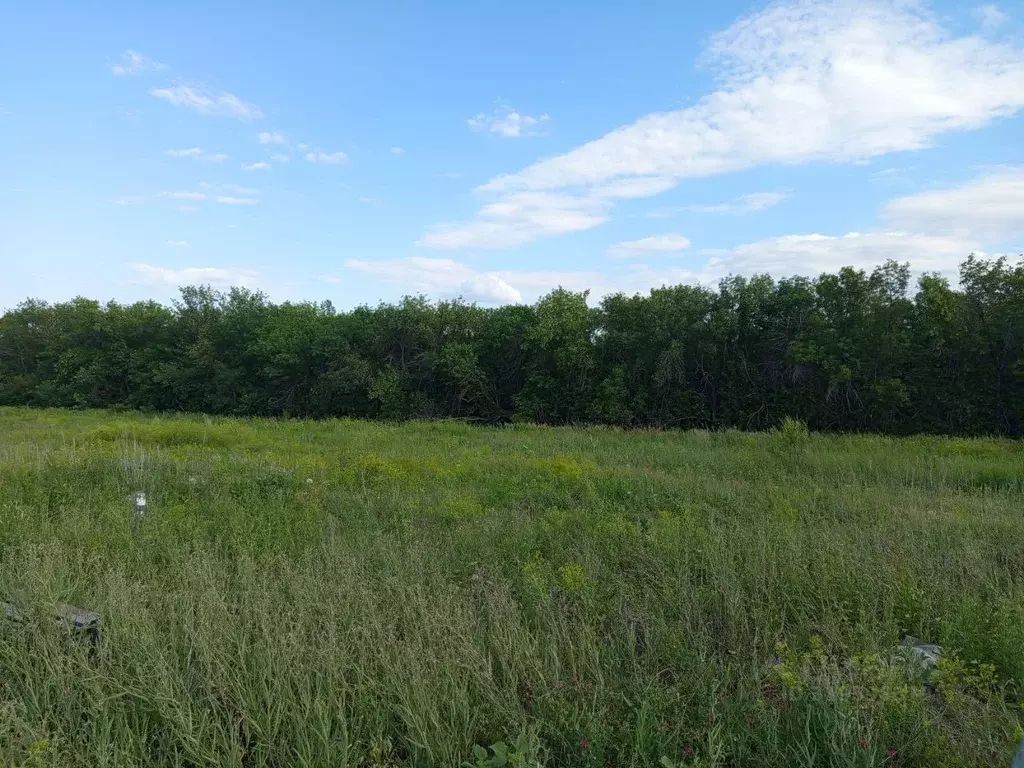 Участок в Оренбургская область, Оренбургский район, с. Подгородняя ... - Фото 2