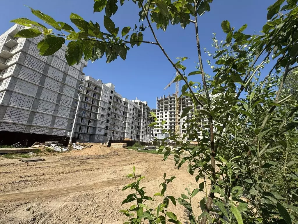 Студия Ярославская область, Ярославль просп. Фрунзе, 56Д (38.32 м) - Фото 1