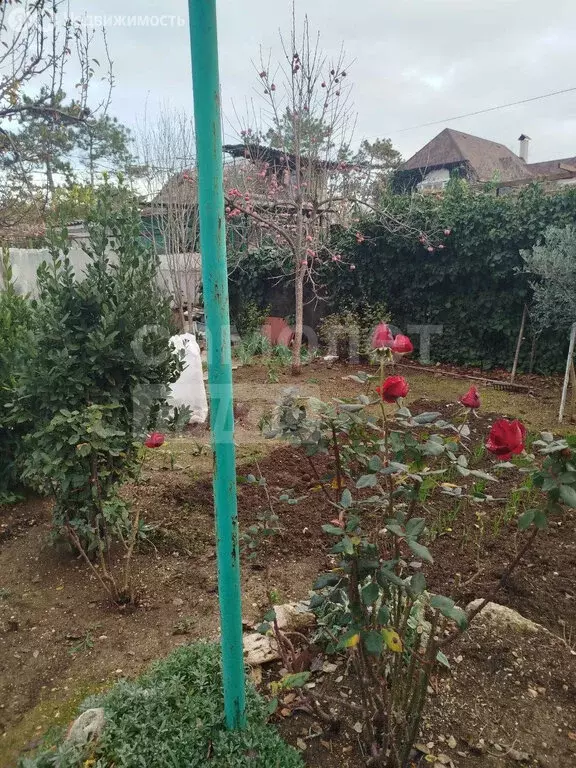 Квартира-студия: Севастополь, улица Челюскинцев, 58 (18 м) - Фото 1