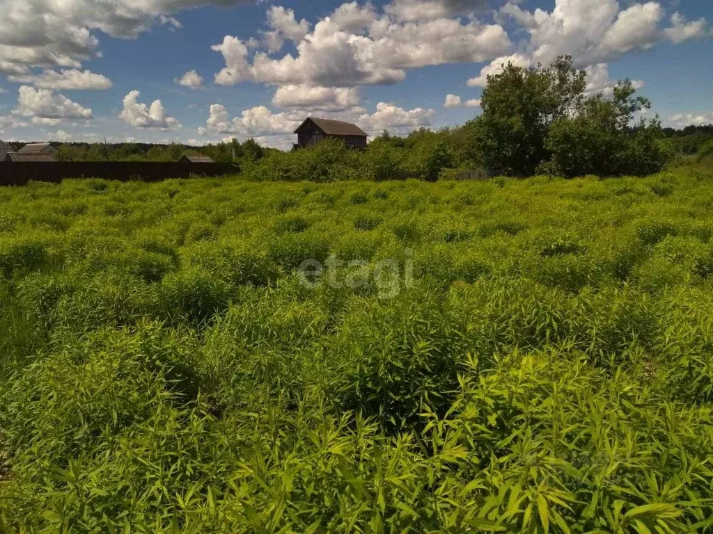 Купить Дачу В Новые Дарковичи Брянской Области