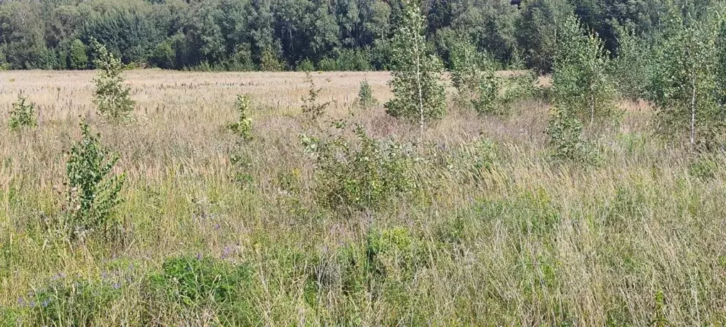 Участок в Московская область, Солнечногорск городской округ, д. Мостки ... - Фото 2