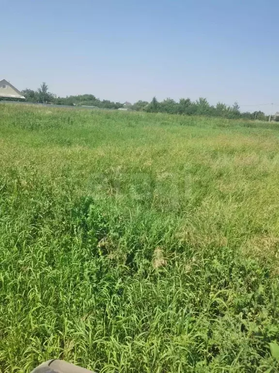 Участок в Тамбовская область, Тамбов городской округ, с. Бокино ул. ... - Фото 1