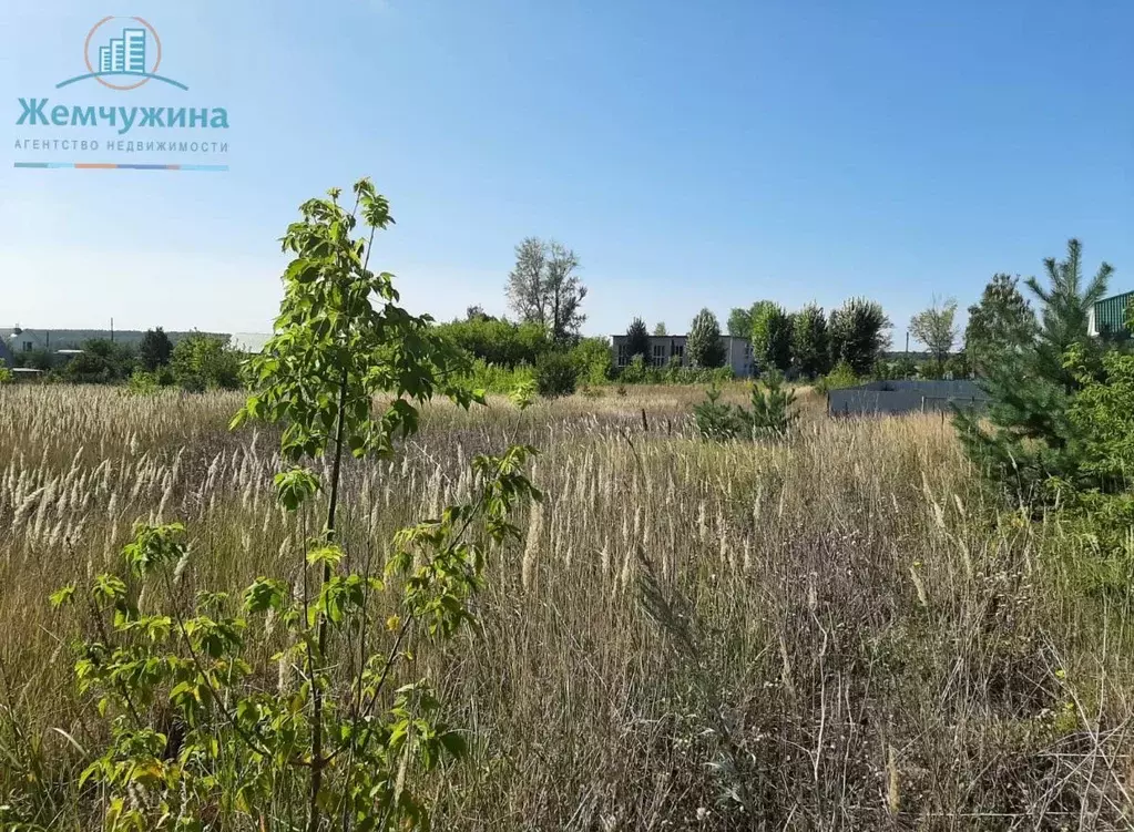 Участок в Ульяновская область, Мелекесский район, Тиинское с/пос, с. ... - Фото 1