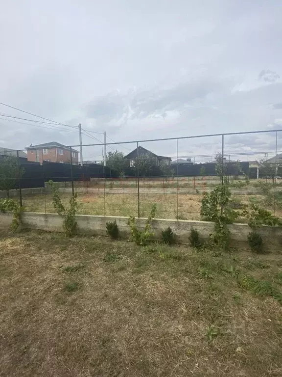 Участок в Ростовская область, Аксайский район, Большелогское с/пос, ... - Фото 1