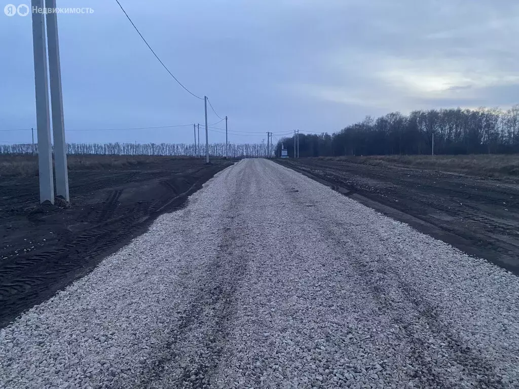 Участок в Рязанский район, Вышгородское сельское поселение, село ... - Фото 0