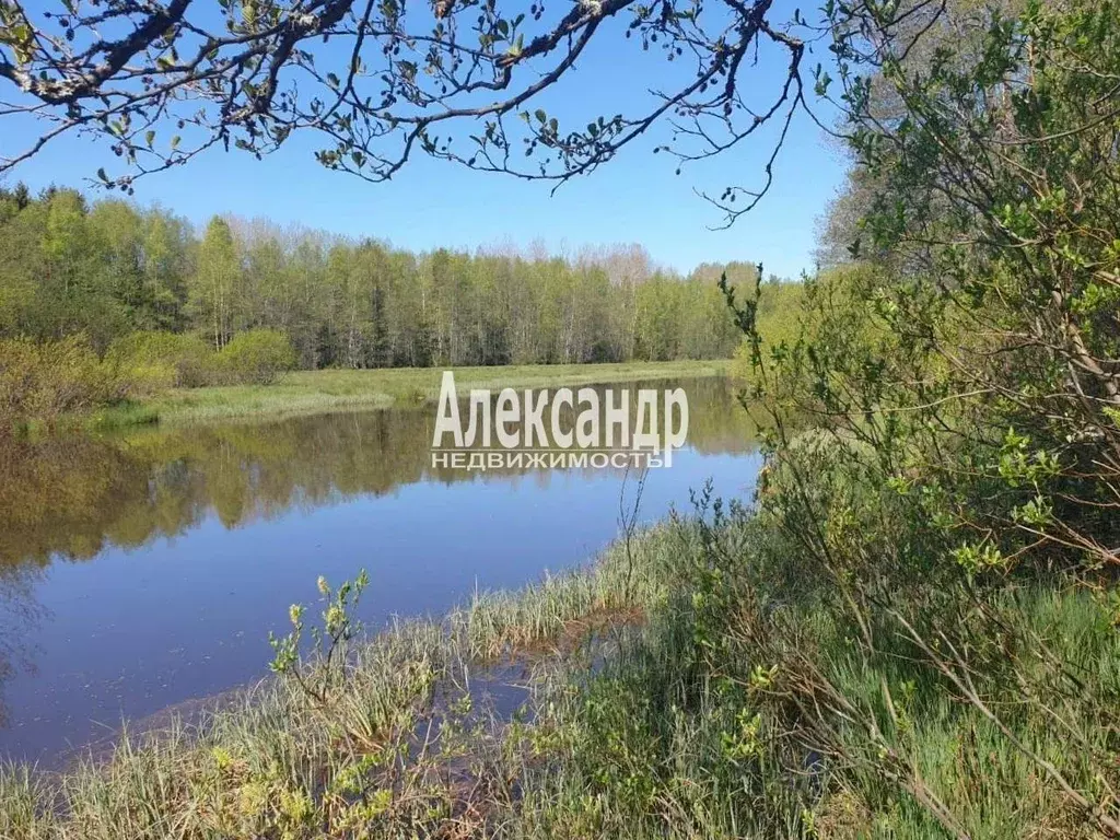 Участок в Ленинградская область, Выборгский район, Советское городское ... - Фото 1