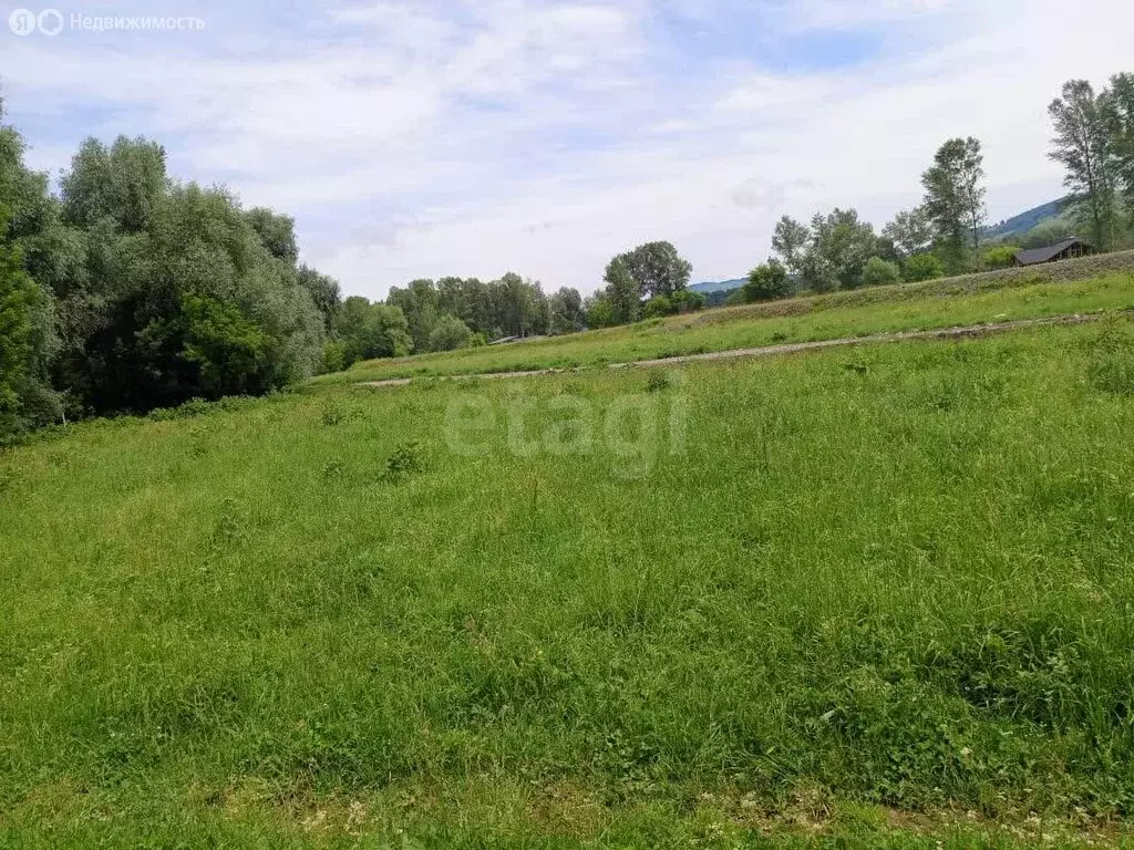 Участок в Алтайский район, Айский сельсовет, село Ая (14.93 м) - Фото 1