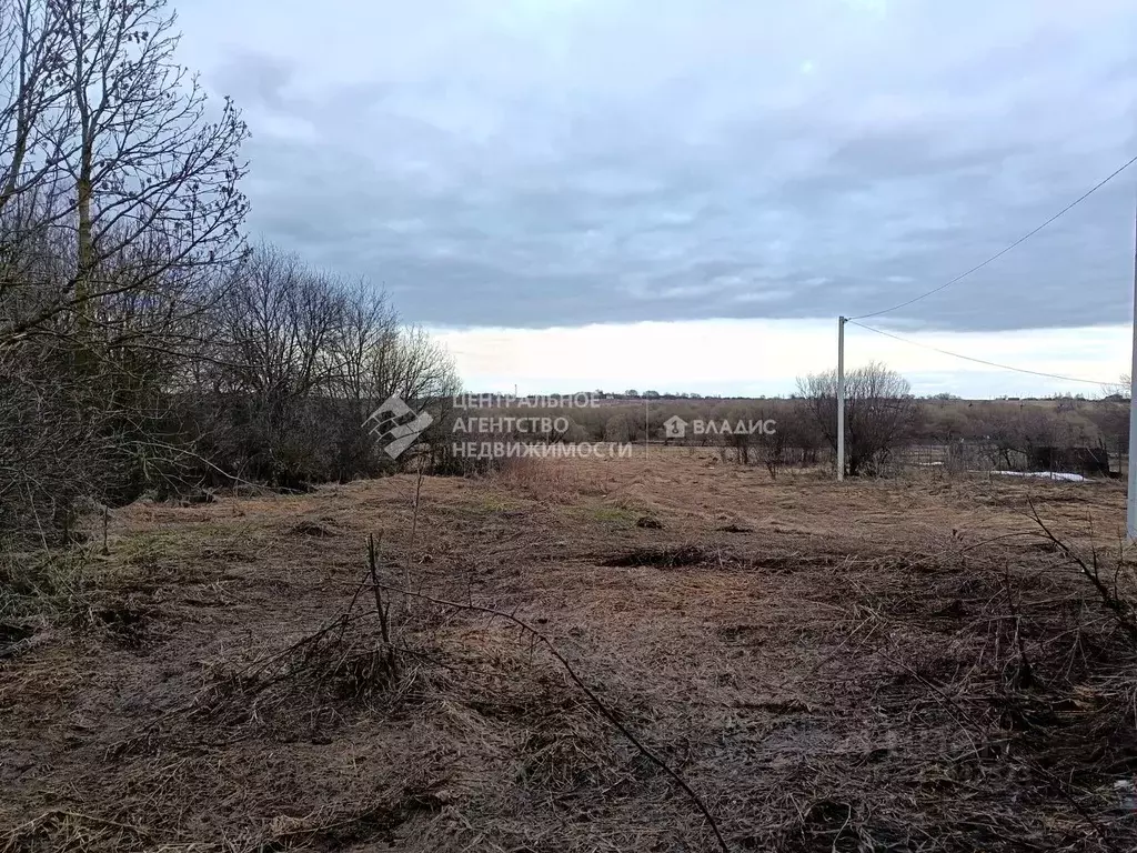 Участок в Рязанская область, Захаровский муниципальный округ, с. ... - Фото 1