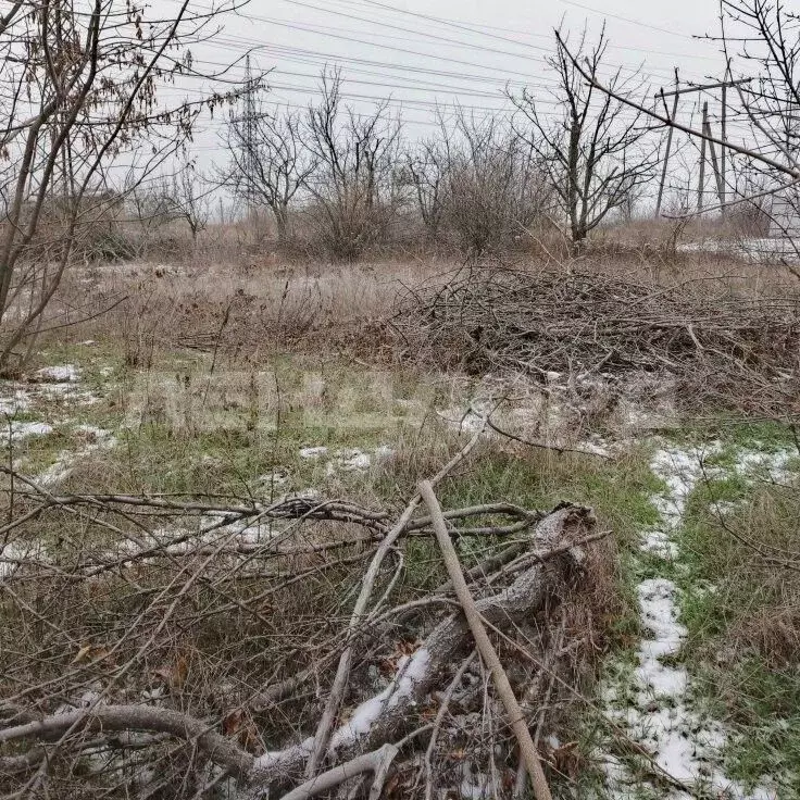 Участок в Ростовская область, Новочеркасск № 16 садовое товарищество, ... - Фото 2