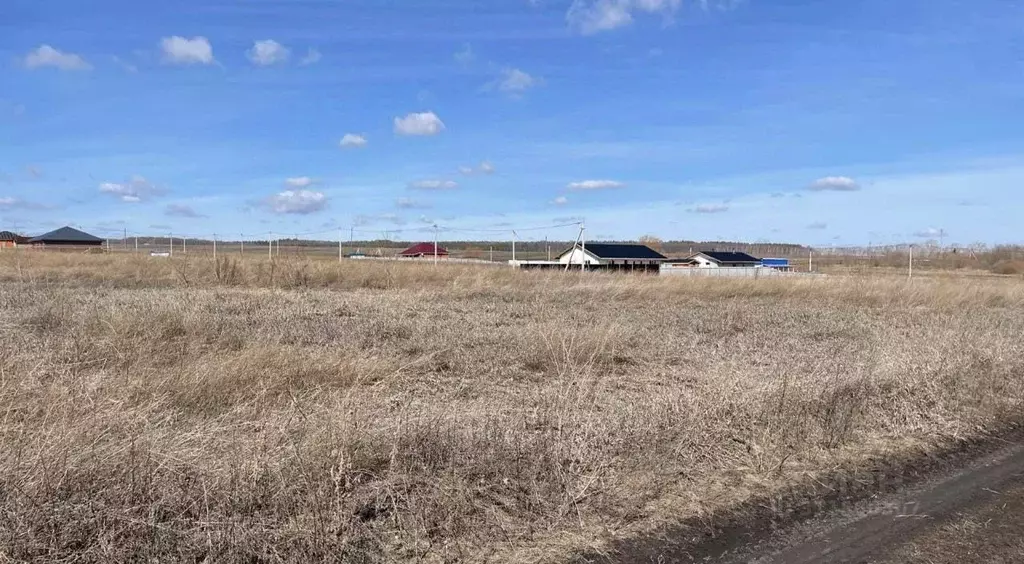 Участок в Ульяновская область, Ульяновск городской округ, с. Луговое ... - Фото 1