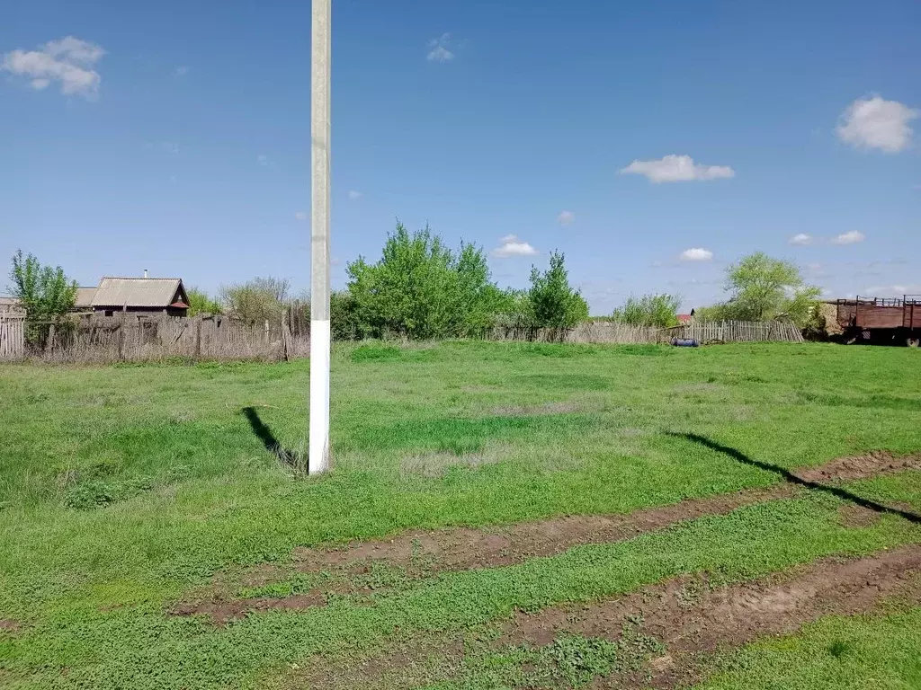 Участок в Саратовская область, Пугачевский район, с. Давыдовка ... - Фото 2