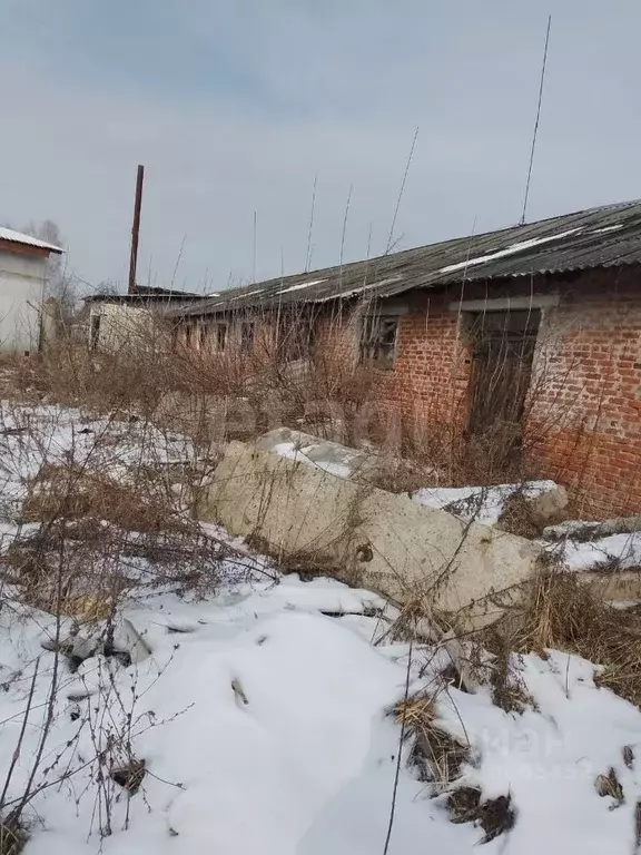 Склад в Брянская область, Жуковка ул. Строителей, 1 (380 м) - Фото 1