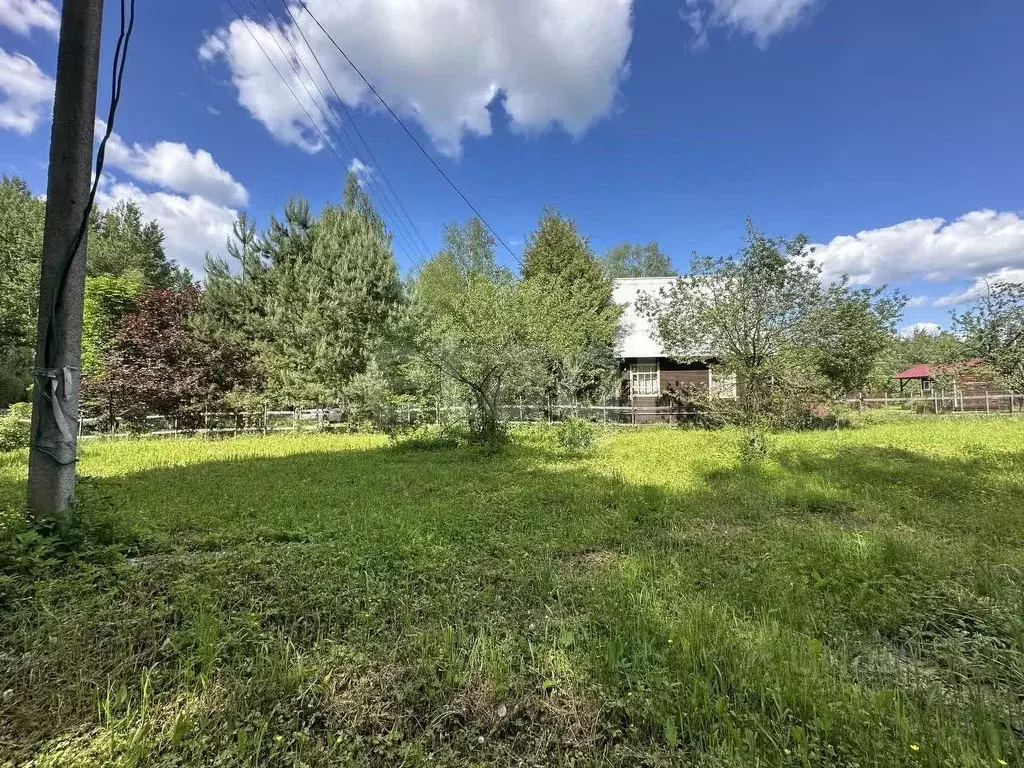 Участок в Московская область, Талдомский городской округ, д. Бельское ... - Фото 1