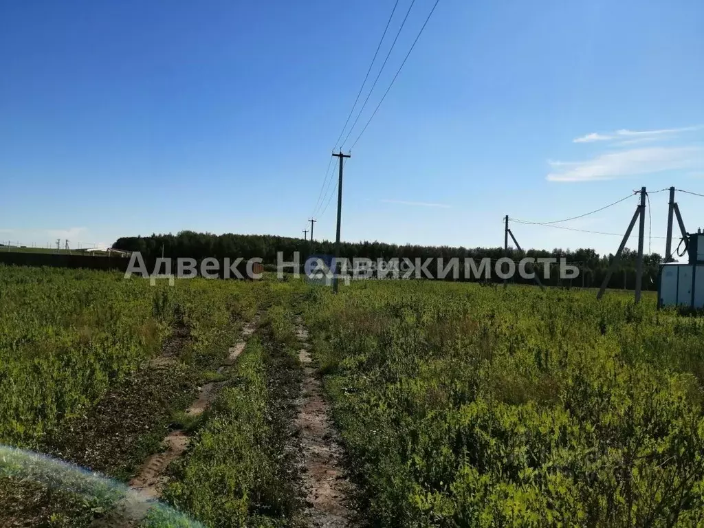 Участок в Тюменская область, Тюменский район, с. Червишево  (8.02 ... - Фото 1