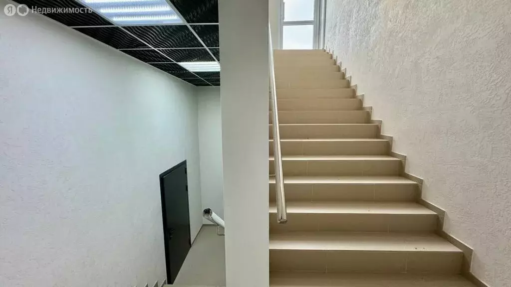 Помещение свободного назначения (67.1 м) - Фото 2