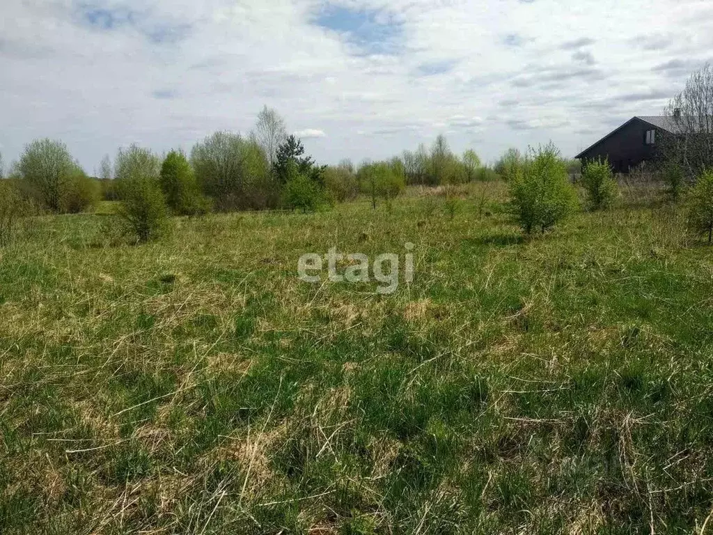 Участок в Ярославская область, Ярославский муниципальный округ, д. ... - Фото 1
