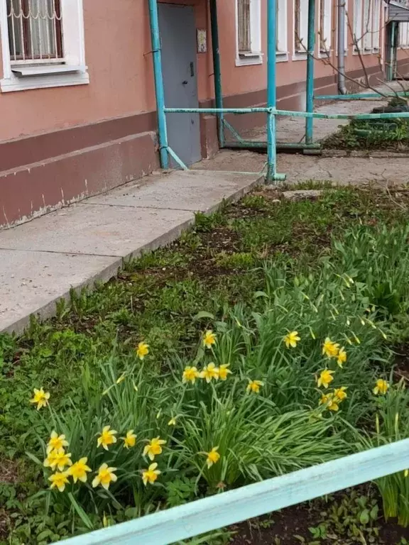 Комната Пермский край, Пермь ул. Сусанина, 9 (15.9 м) - Фото 2