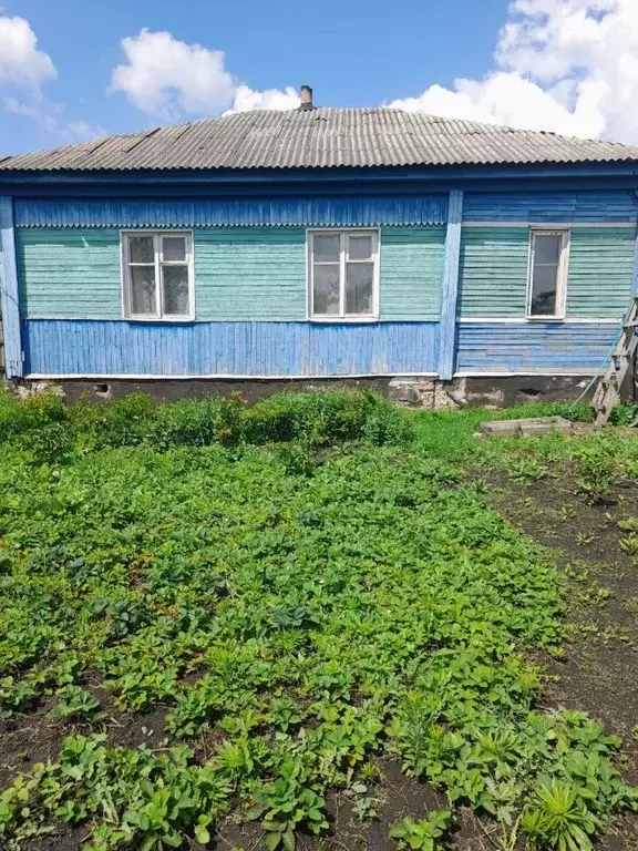 Дом в Воронежская область, Аннинское городское поселение, Анна пгт ул. ... - Фото 0