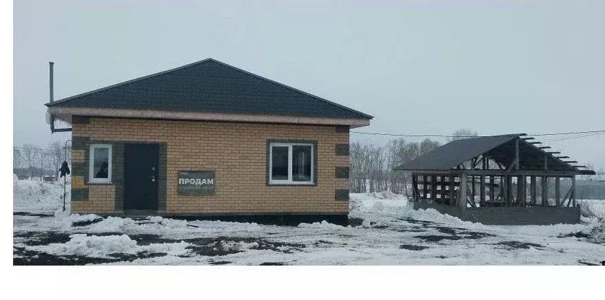 Дом в Алтайский край, Барнаул Звездная ул. (70 м) - Фото 1