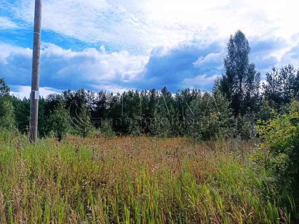Участок в Ленинградская область, Лодейное поле ул. ... - Фото 0